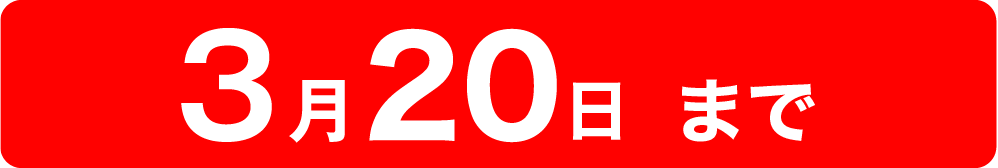 前月の20日まで